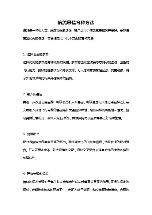 信鸽最佳育种方法