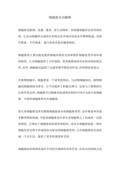 细胞壁名词解释