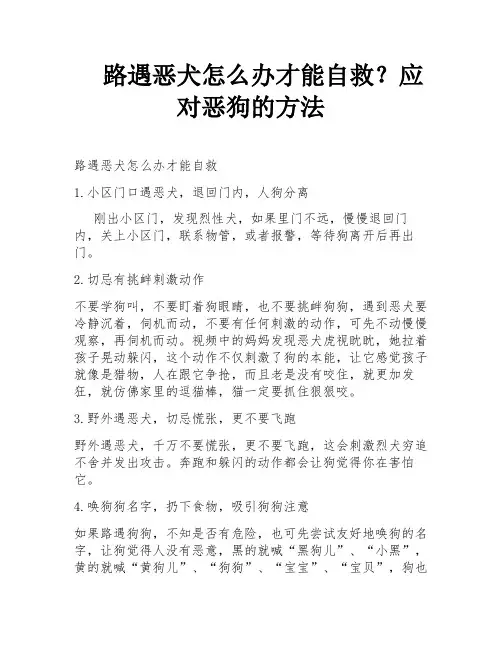 路遇恶犬怎么办才能自救？应对恶狗的方法