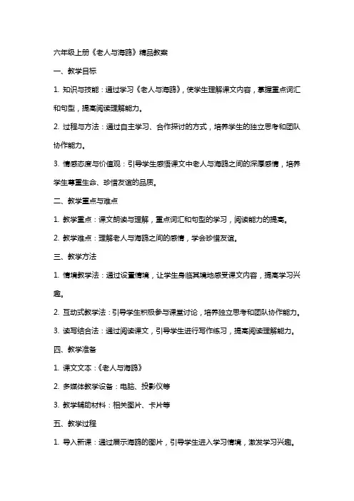 六年级上册《老人与海鸥》教案
