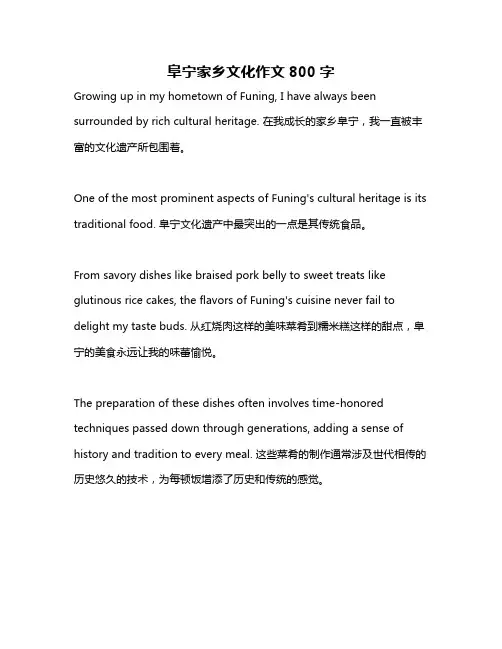 阜宁家乡文化作文800字