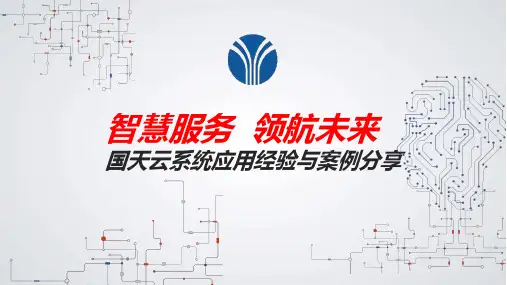 商业策划—智慧服务-领航未来—国天云系统应用经验与案例分享