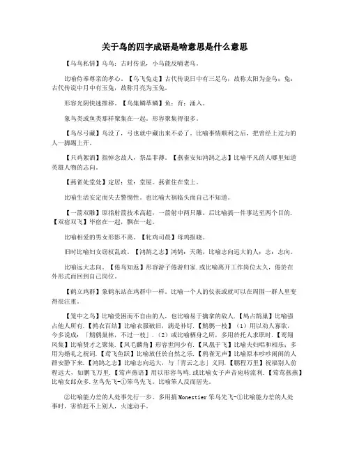 关于鸟的四字成语是啥意思是什么意思