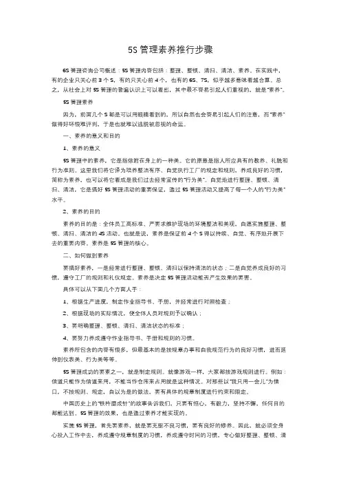 5S管理素养推行步骤