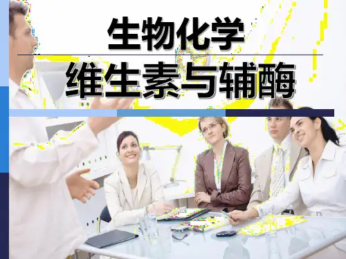 生物化学-维生素与辅酶-