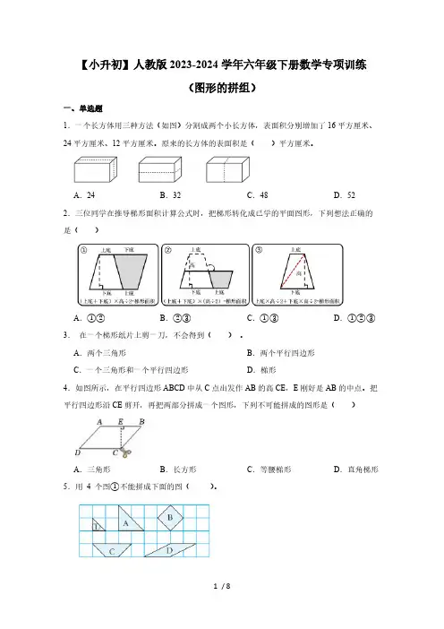 【小升初】人教版2023-2024学年六年级下册数学专项训练(图形的拼组)含答案