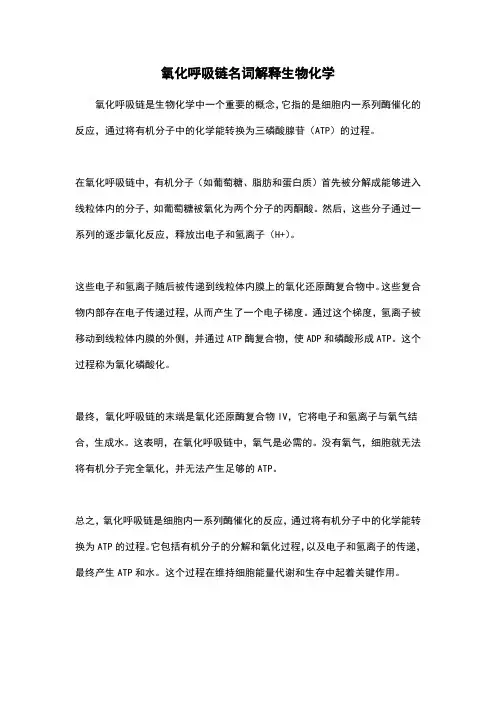 氧化呼吸链名词解释生物化学