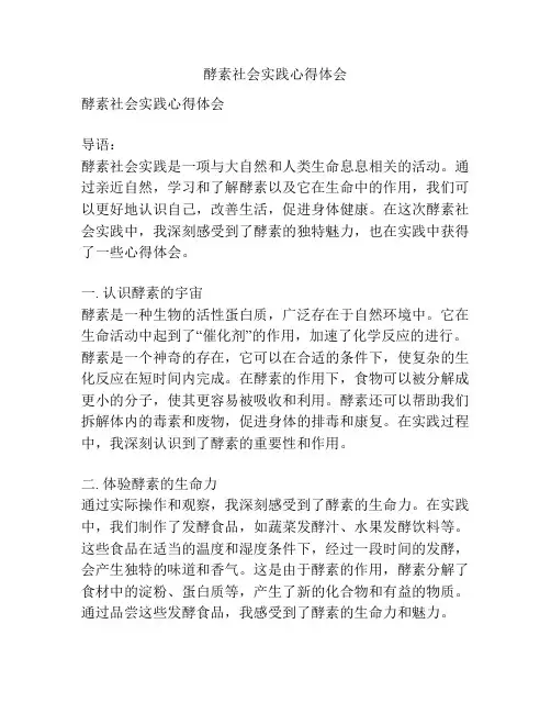 酵素社会实践心得体会