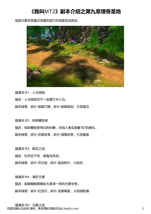 《我叫MT2》副本介绍之第九章埋骨圣地