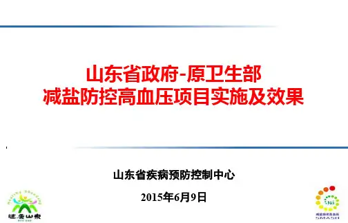 减盐防控高血压项目实施及效果