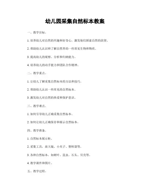 幼儿园采集自然标本教案