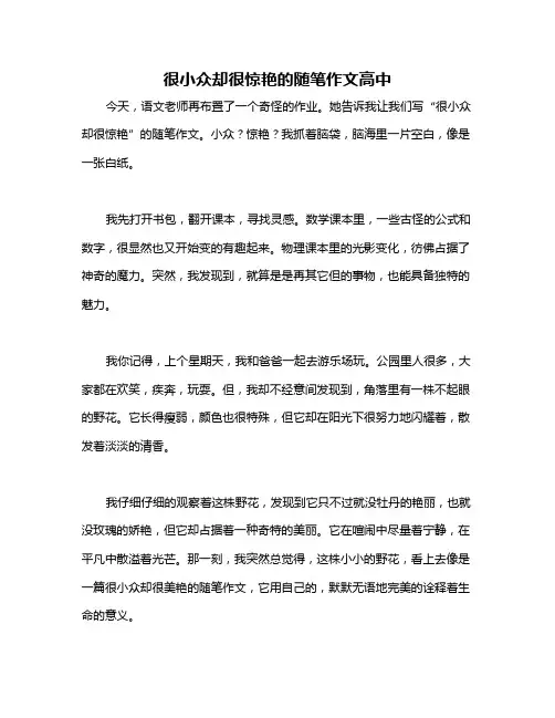 很小众却很惊艳的随笔作文高中