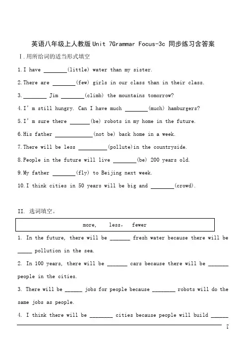 英语八年级上人教版Unit 7Grammar Focus-3c 同步练习含答案
