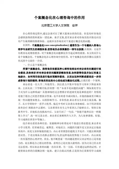 个案概念化