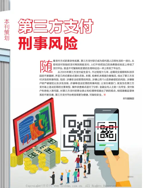 第三方支付刑事风险