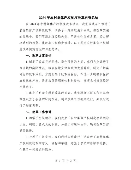 2024年农村集体产权制度改革自查总结
