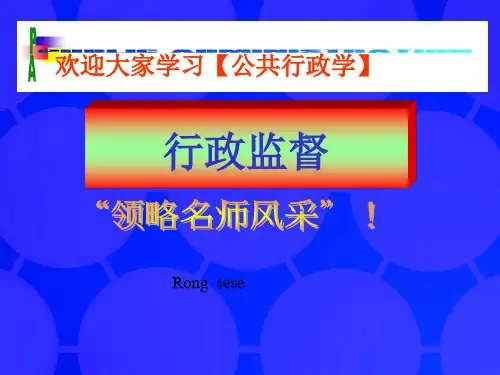公共行政行政监督