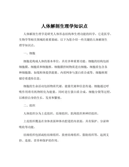 人体解剖生理学知识点