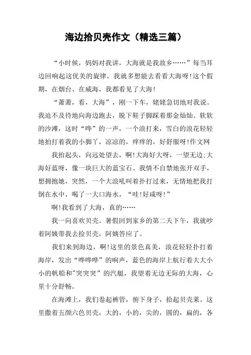 海边拾贝壳作文(精选三篇)