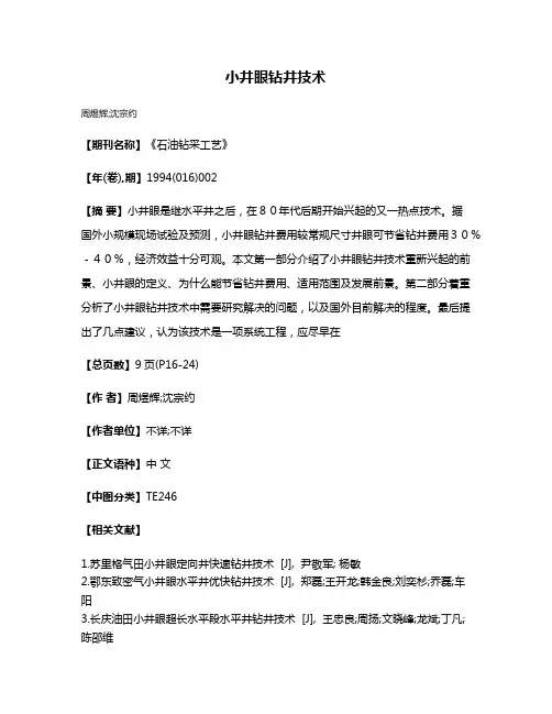 小井眼钻井技术