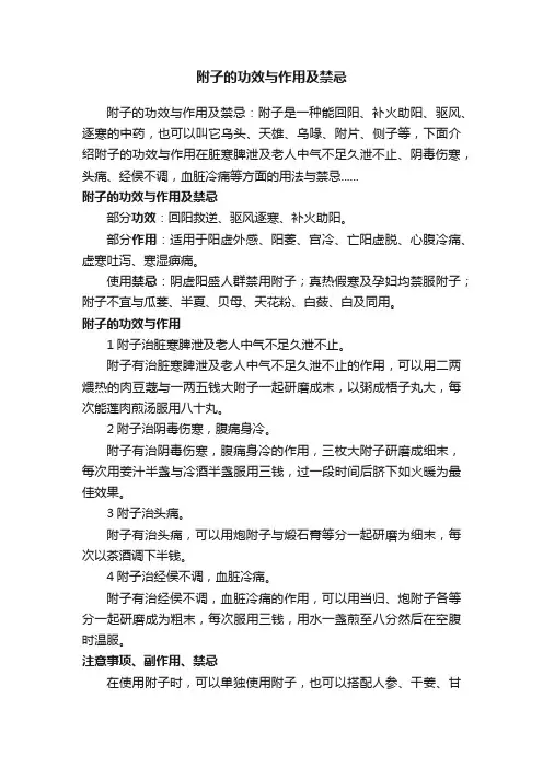 附子的功效与作用及禁忌