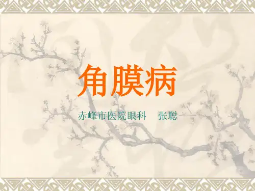 角膜病