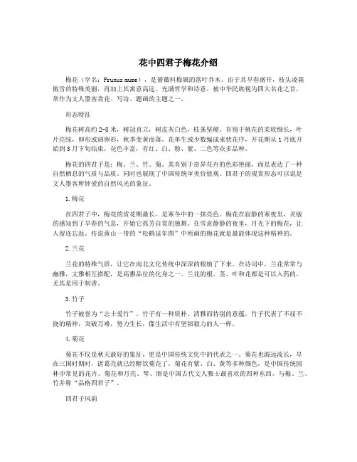 花中四君子梅花介绍