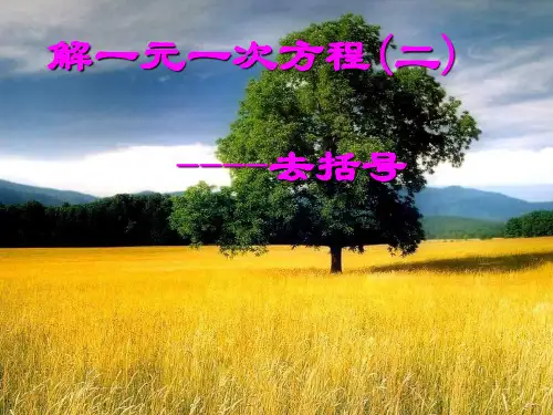 人教版数学七年级上3.3 解一元一次方程(二)——去括号与分母课件 (15张PPT)