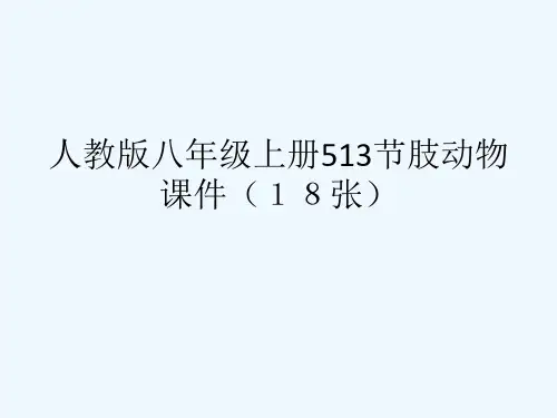 人教版八级上册513节肢动物课件(18张)[可修改版ppt]