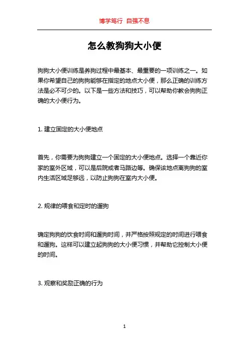 怎么教狗狗大小便
