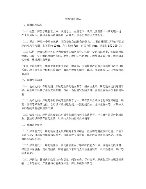 脾知识点总结