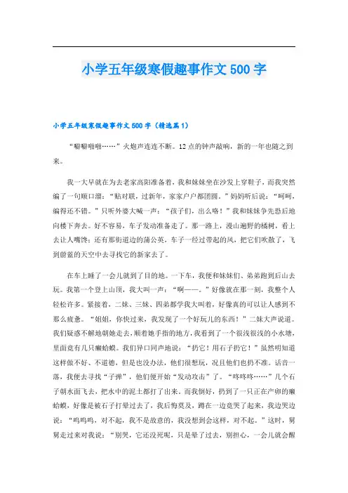 小学五年级寒假趣事作文500字
