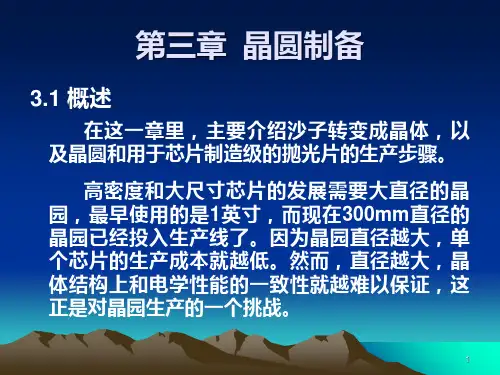 晶圆制备PPT课件