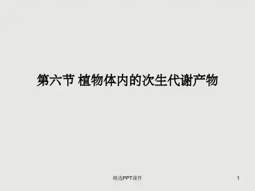 第六章 植物的次级代谢产物ppt课件