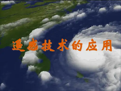 遥感应用(ppt)