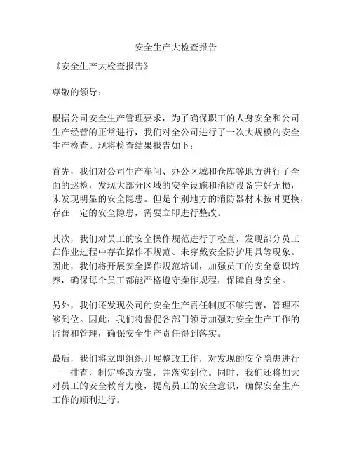 安全生产大检查报告
