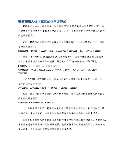 葡萄糖在人体内氧化的化学方程式