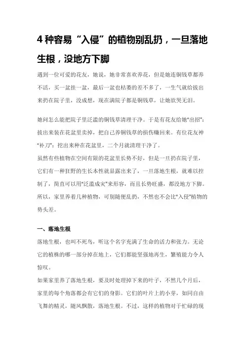 4种容易“入侵”的植物别乱扔,一旦落地生根,没地方下脚
