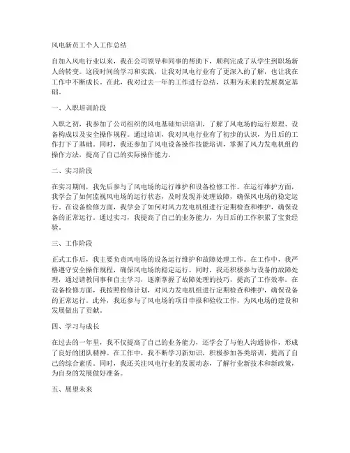 风电新员工个人工作总结