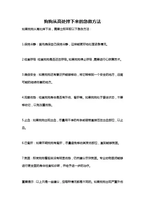 狗狗从高处摔下来的急救方法