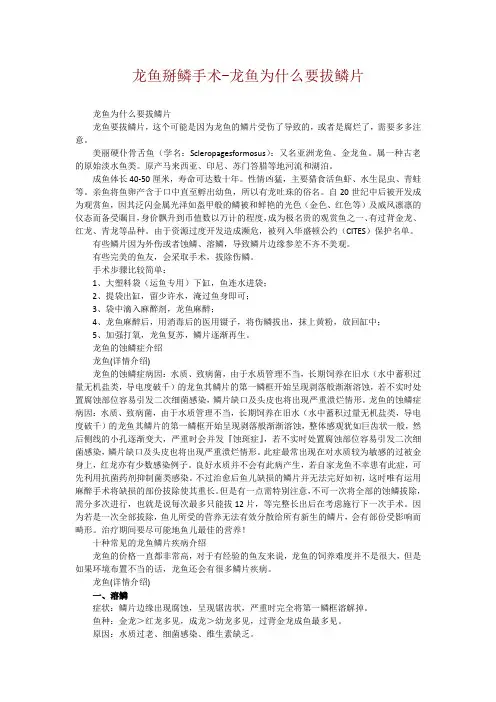 龙鱼掰鳞手术-龙鱼为什么要拔鳞片