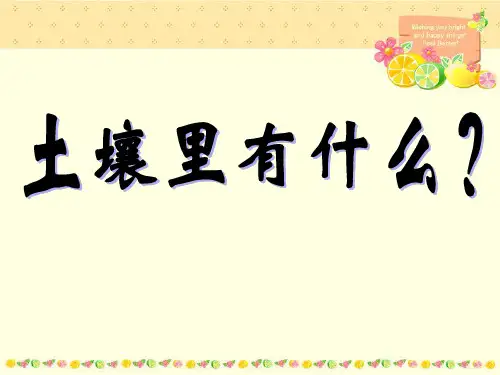 《土壤里有什么》PPT-完美版