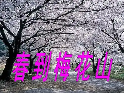 春到梅花山