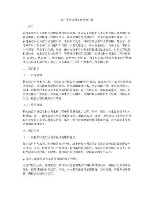 农村小型水利工程整治方案