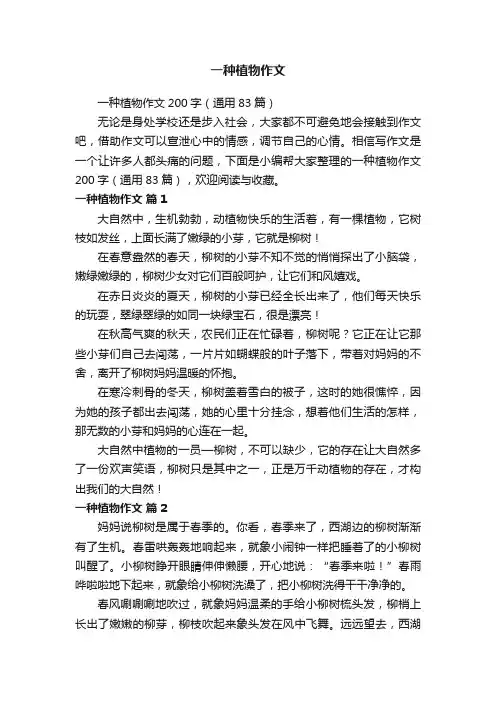 一种植物作文200字（通用83篇）
