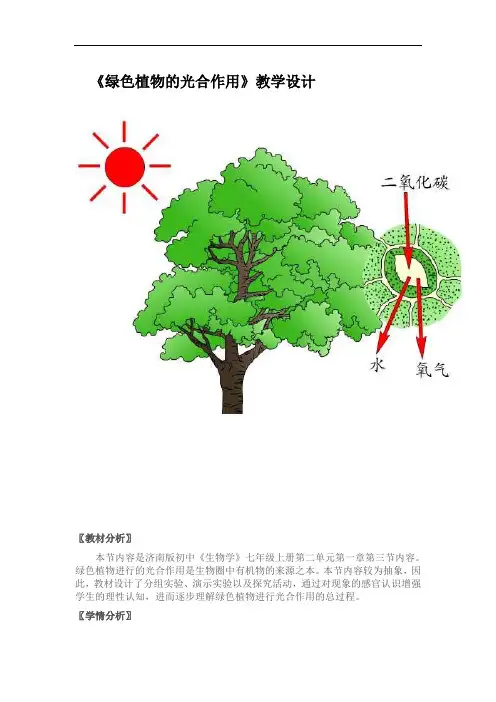《绿色植物的光合作用》教学设计 公开课教案
