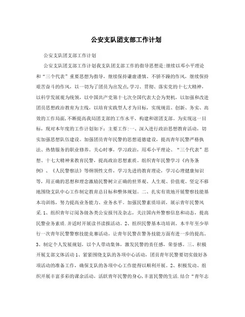 公安支队团支部工作计划