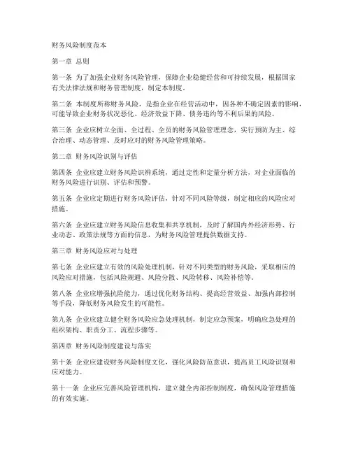 财务风险制度范本