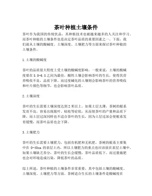 茶叶种植土壤条件
