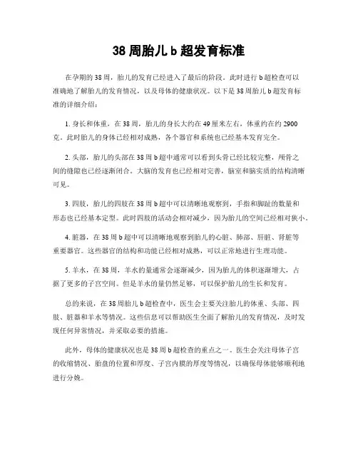 38周胎儿b超发育标准